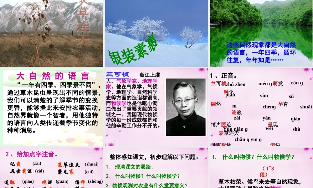 八年级语文上册 16(大自然的语言)课件 新人教版 课件