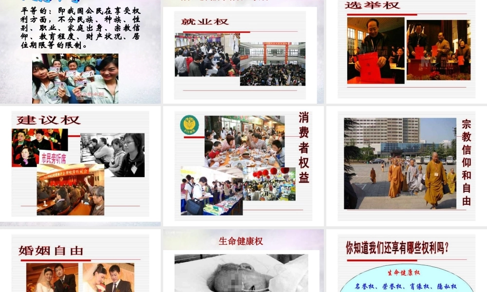 八年级政治下册 7.1 平等的权利和义务课件2 北师大版 课件