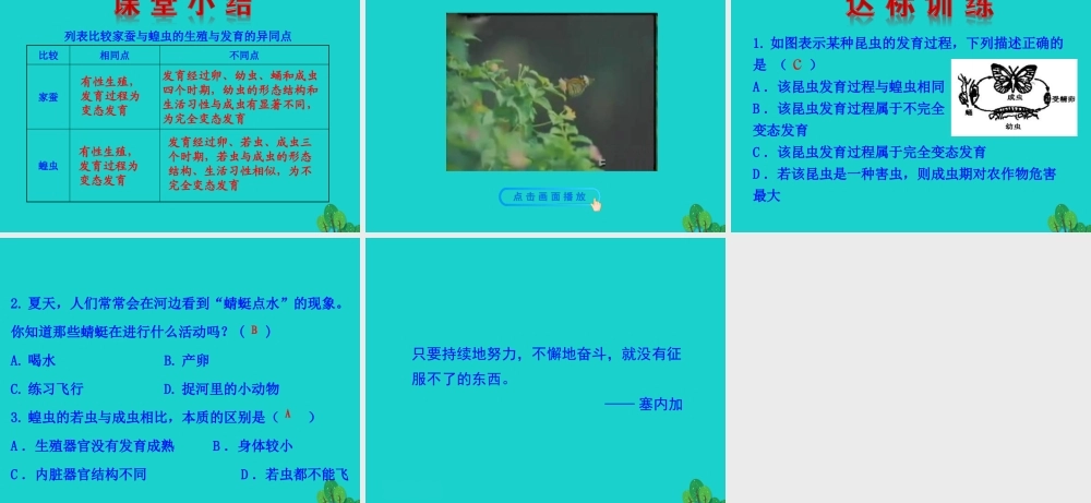 八年级生物下册 7.1.2 昆虫的生殖和发育课件 八年级生物下册 7.1.2 昆虫的生殖和发育课件+素材(新版)新人教版 八年级生物下册 7.1.2 昆虫的生殖和发育课件+素材(新版)新人教版
