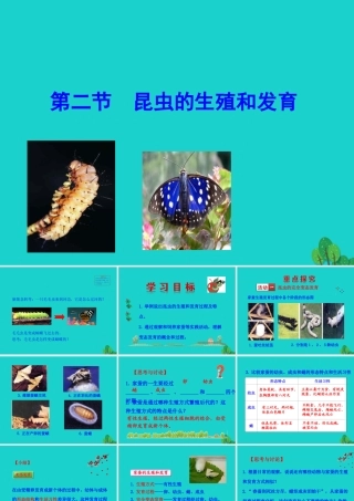 八年级生物下册 7.1.2 昆虫的生殖和发育课件 八年级生物下册 7.1.2 昆虫的生殖和发育课件+素材(新版)新人教版 八年级生物下册 7.1.2 昆虫的生殖和发育课件+素材(新版)新人教版