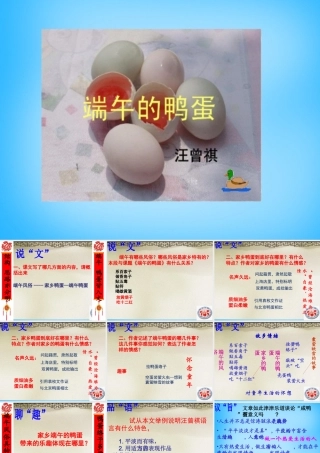 初级八年级语文下册 17 端午的鸭蛋课件 (新版)新人教版 课件