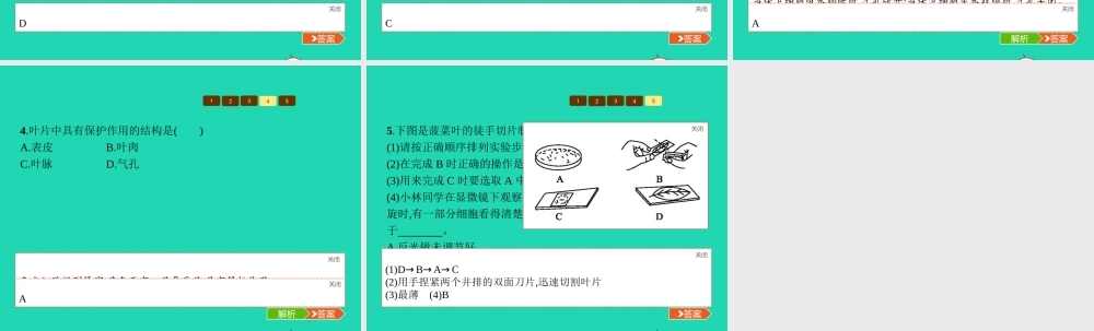 七年级生物上册 2.1.2 绿色植物的蒸腾作用(第1课时 叶片的结构)课件 (新版)济南版 课件