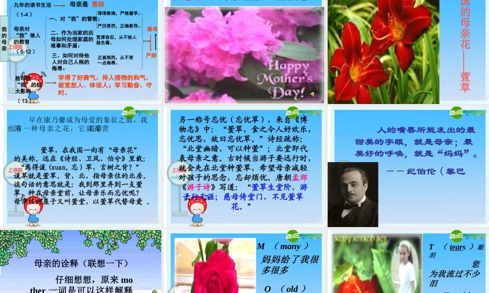 八年级语文下册 (我的母亲)教学课件 人教新课标版 课件