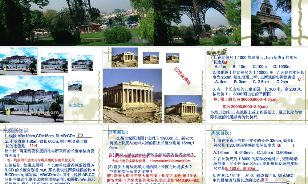 八年级数学线段的比课件3鲁教版 课件