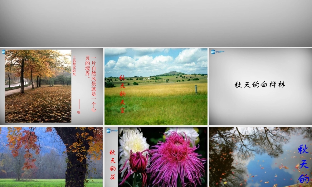 中学七年级语文上册 第14课 秋天课件 (新版)新人教版 课件