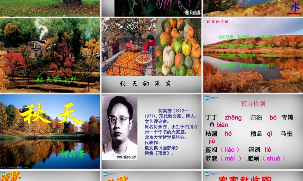 中学七年级语文上册 第14课 秋天课件 (新版)新人教版 课件