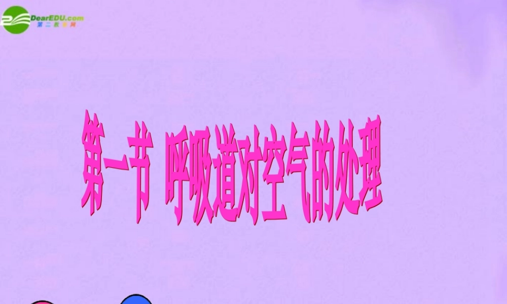 七年级生物下册 呼吸道对空气的处理课件 人教新课标版 课件