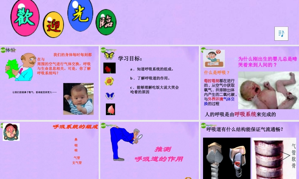 七年级生物下册 呼吸道对空气的处理课件 人教新课标版 课件