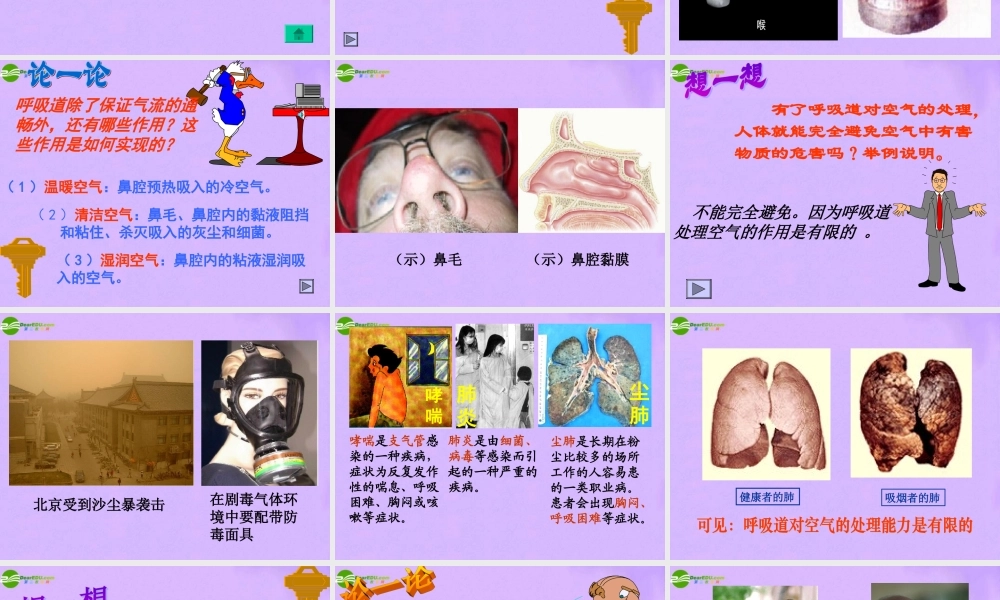 七年级生物下册 呼吸道对空气的处理课件 人教新课标版 课件