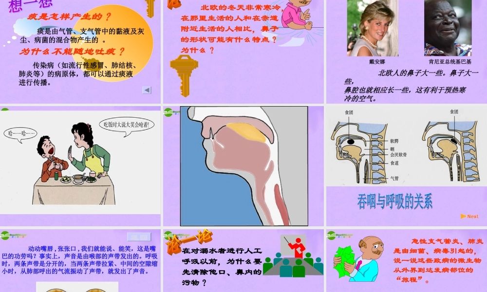 七年级生物下册 呼吸道对空气的处理课件 人教新课标版 课件