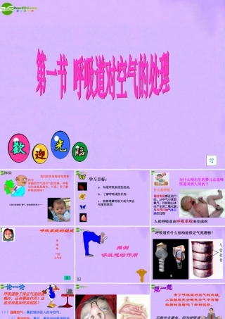 七年级生物下册 呼吸道对空气的处理课件 人教新课标版 课件