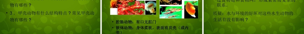 八年级生物上册 5.1.1 水中生活的动物课件 新人教版 课件