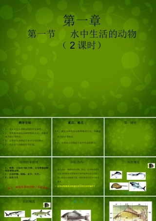 八年级生物上册 5.1.1 水中生活的动物课件 新人教版 课件