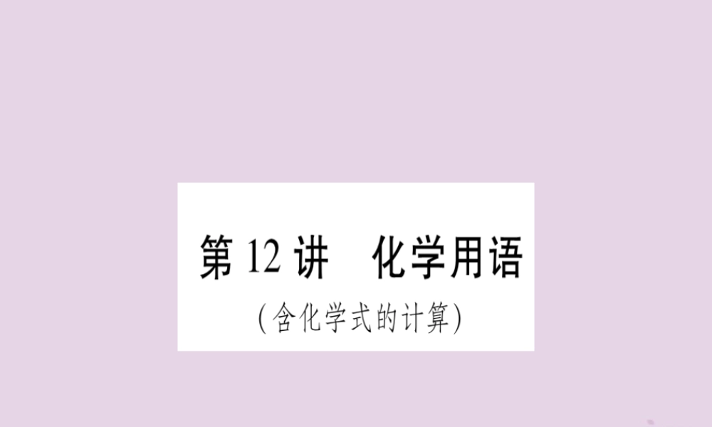 中考化学复习 第一部分 基础知识 第二单元 化学基本概念和原理 第12讲 化学用语(含化学式的计算)(精讲)课件