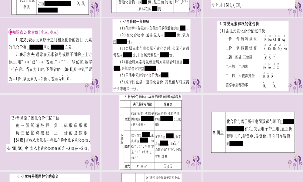 中考化学复习 第一部分 基础知识 第二单元 化学基本概念和原理 第12讲 化学用语(含化学式的计算)(精讲)课件