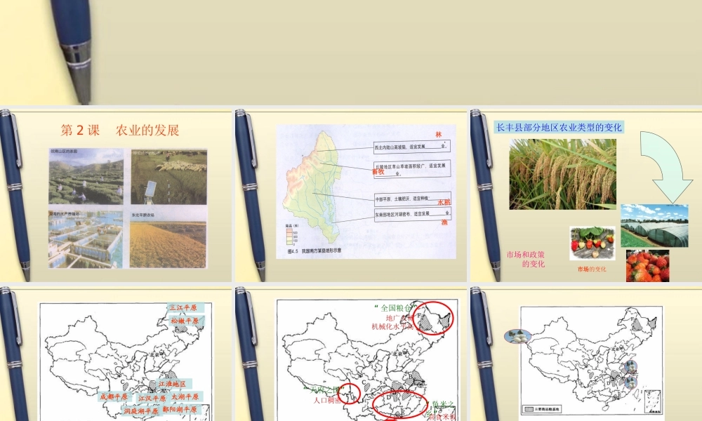 八年级地理上册 第2课 农业的发展课件