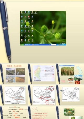 八年级地理上册 第2课 农业的发展课件