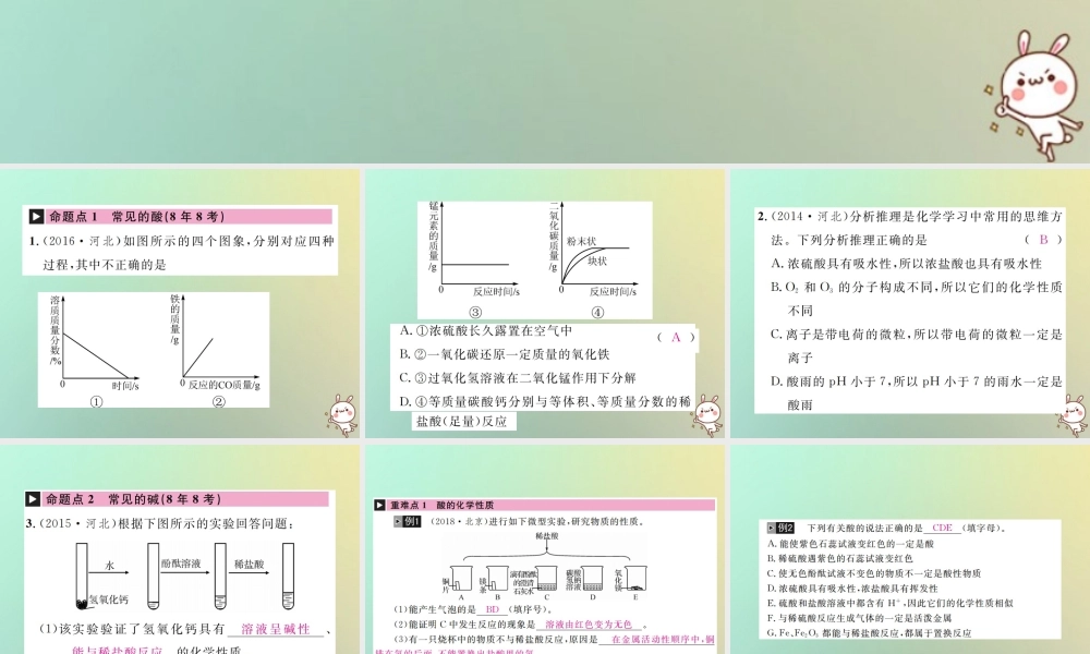 中考化学复习 主题一 身边的化学物质 第6讲 常见的酸和碱课件