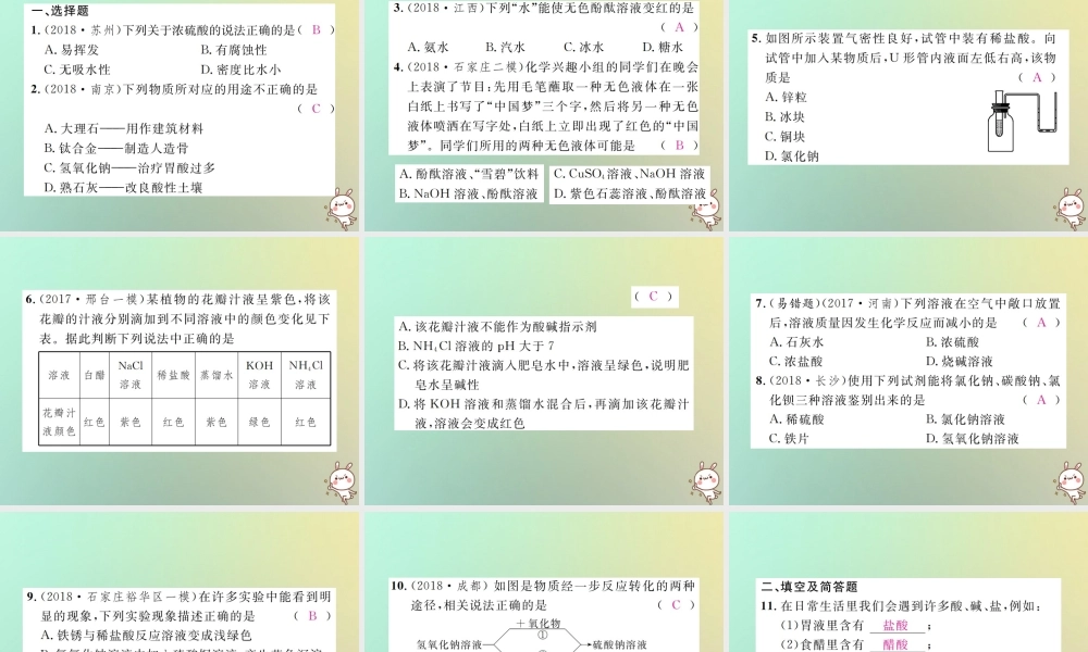 中考化学复习 主题一 身边的化学物质 第6讲 常见的酸和碱课件