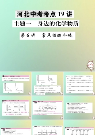 中考化学复习 主题一 身边的化学物质 第6讲 常见的酸和碱课件