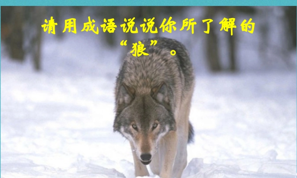 七年级语文上册 第五单元 第18课(狼)课件 新人教版 课件