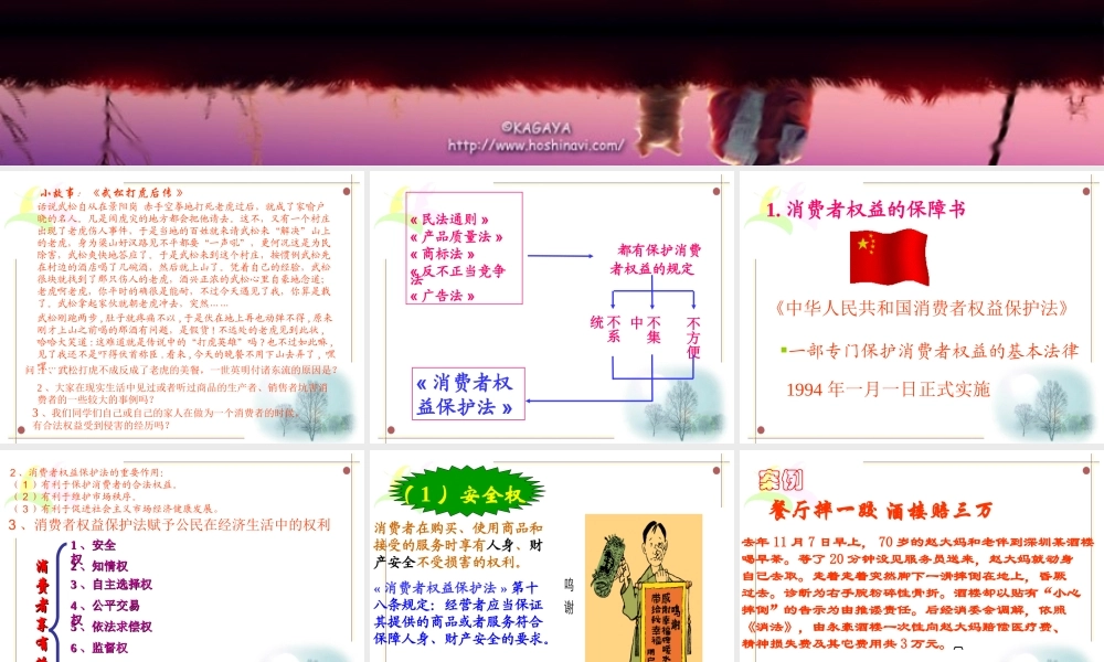 八年级政治上册(做合格的消费者)课件1 人民版 课件