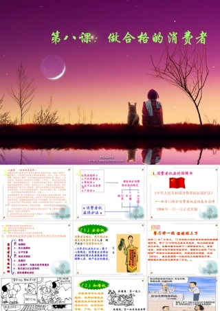 八年级政治上册(做合格的消费者)课件1 人民版 课件