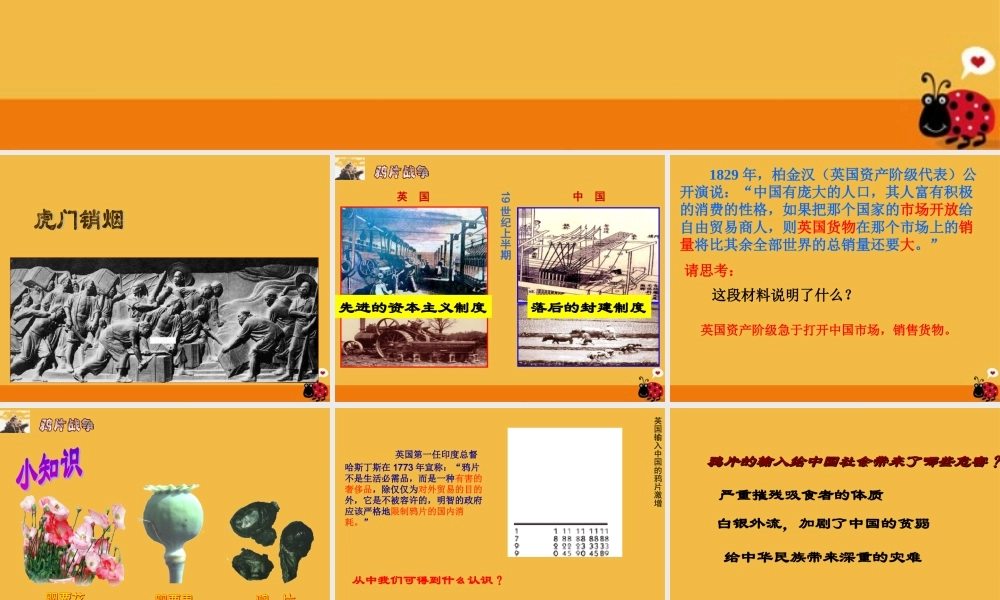 八年级历史上册 第一单元 第一课 鸦片战争课件  人教新课标版 课件