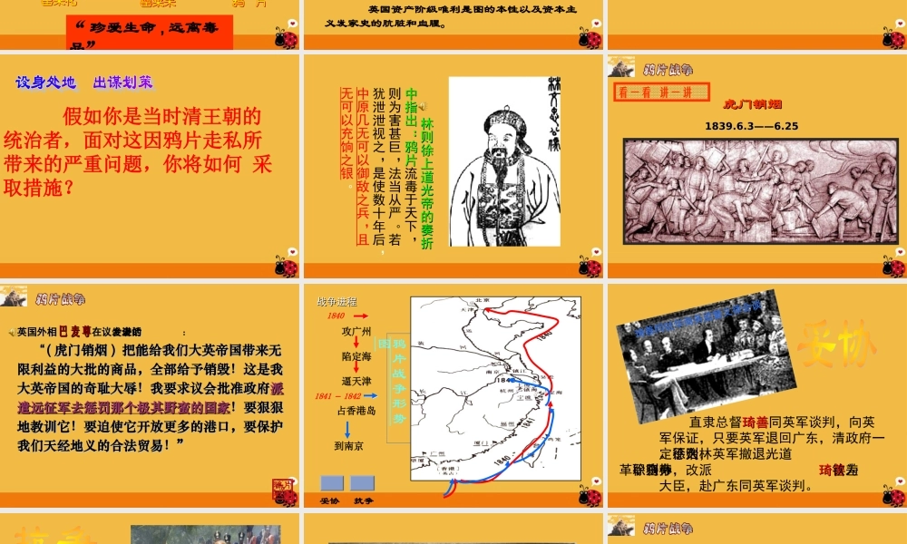 八年级历史上册 第一单元 第一课 鸦片战争课件  人教新课标版 课件