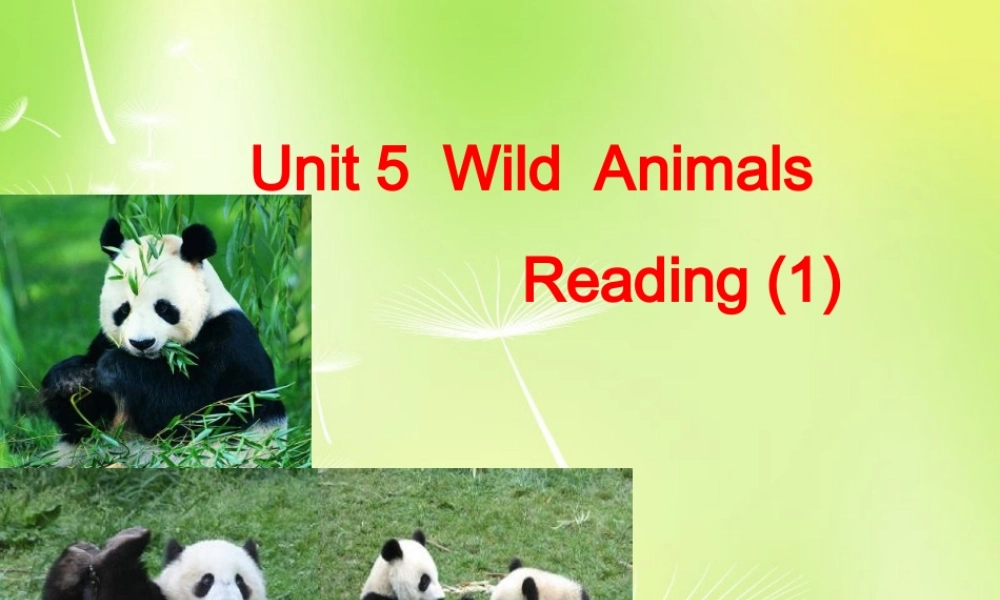 八年级英语上册(Unit 5 Wild animals Reading 1)课件 (新版)牛津版 课件