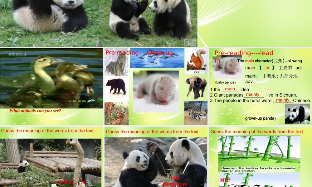 八年级英语上册(Unit 5 Wild animals Reading 1)课件 (新版)牛津版 课件