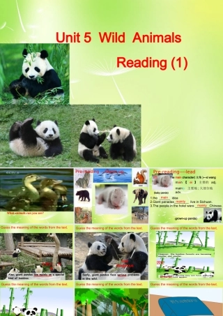 八年级英语上册(Unit 5 Wild animals Reading 1)课件 (新版)牛津版 课件