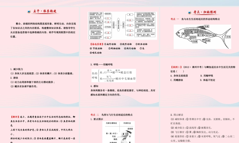 八年级生物上册 阶段专题复习 第五单元 第一章 动物的主要类群课件 (新版)新人教版 课件