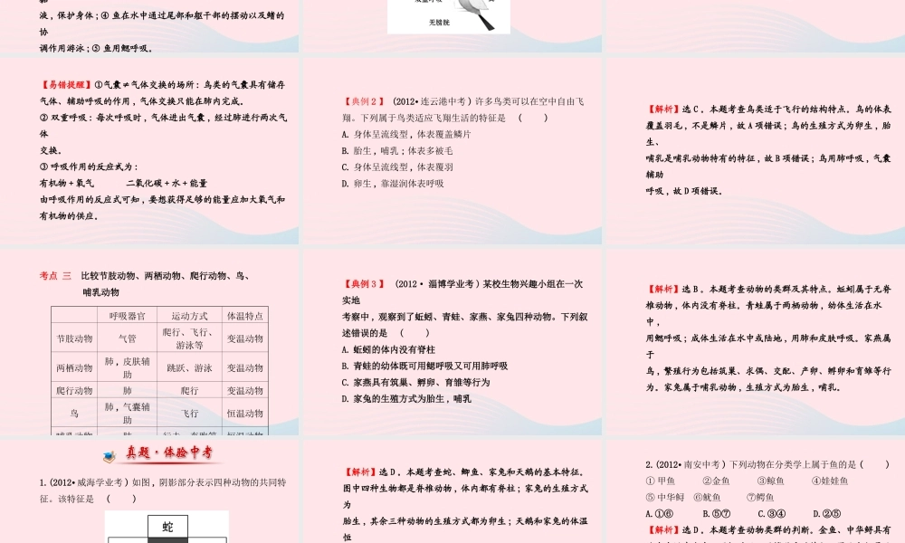 八年级生物上册 阶段专题复习 第五单元 第一章 动物的主要类群课件 (新版)新人教版 课件