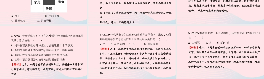 八年级生物上册 阶段专题复习 第五单元 第一章 动物的主要类群课件 (新版)新人教版 课件
