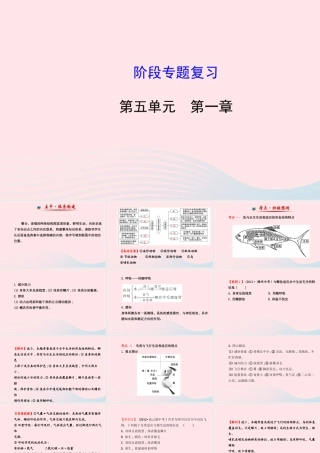 八年级生物上册 阶段专题复习 第五单元 第一章 动物的主要类群课件 (新版)新人教版 课件