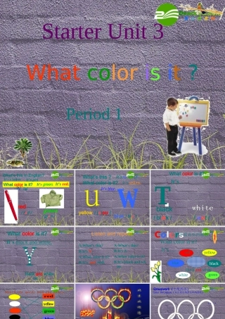 七年级英语上册 Starter Unit 3 What color is it Period 1课件 人教新目标版 课件