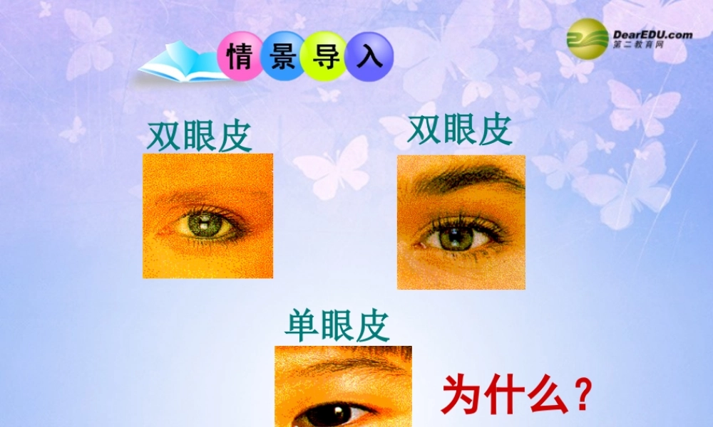 八年级生物上册 第二节 性状的遗传课件 济南版 课件