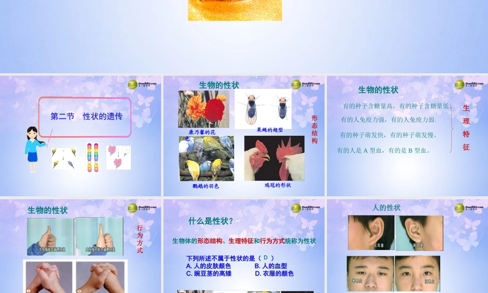 八年级生物上册 第二节 性状的遗传课件 济南版 课件