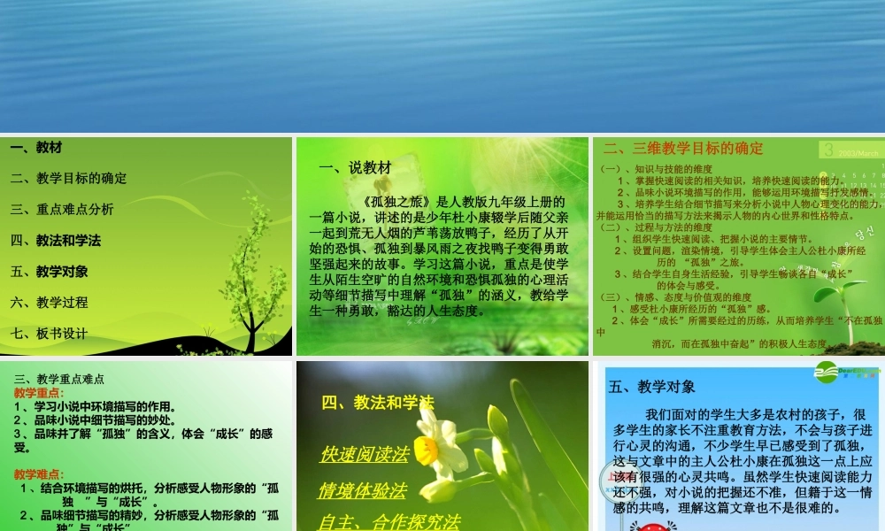 九年级语文上册 第10课(孤独之旅)课件 人教新课标版 课件