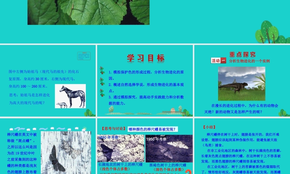八年级生物下册 7.3.3 生物进化的原因课件 八年级生物下册 7.3.3 生物进化的原因课件+素材(新版)新人教版 八年级生物下册 7.3.3 生物进化的原因课件+素材(新版)新人教版