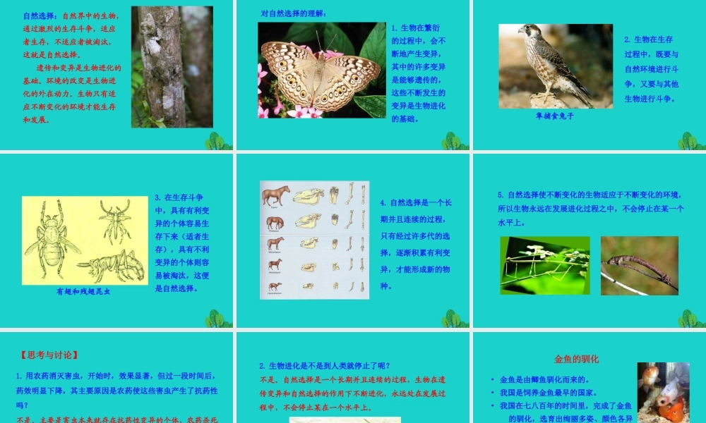 八年级生物下册 7.3.3 生物进化的原因课件 八年级生物下册 7.3.3 生物进化的原因课件+素材(新版)新人教版 八年级生物下册 7.3.3 生物进化的原因课件+素材(新版)新人教版