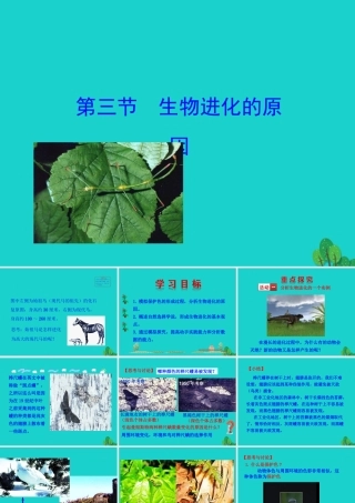 八年级生物下册 7.3.3 生物进化的原因课件 八年级生物下册 7.3.3 生物进化的原因课件+素材(新版)新人教版 八年级生物下册 7.3.3 生物进化的原因课件+素材(新版)新人教版