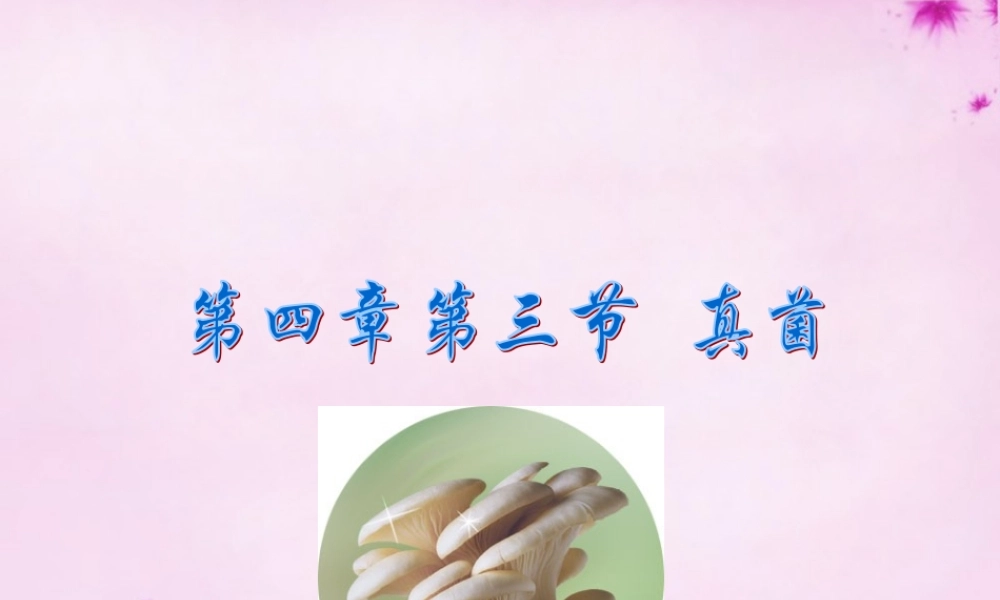 八年级生物上册 第五单元 第四章 第三节 真菌课件 (新版)新人教版 课件