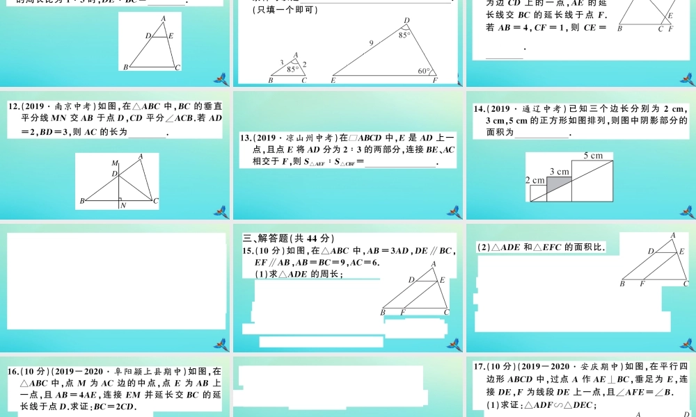 九年级数学上册 第22章 相似形 综合滚动练习：相似三角形的判定和性质作业课件 (新版)沪科版 课件