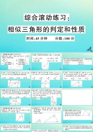 九年级数学上册 第22章 相似形 综合滚动练习：相似三角形的判定和性质作业课件 (新版)沪科版 课件