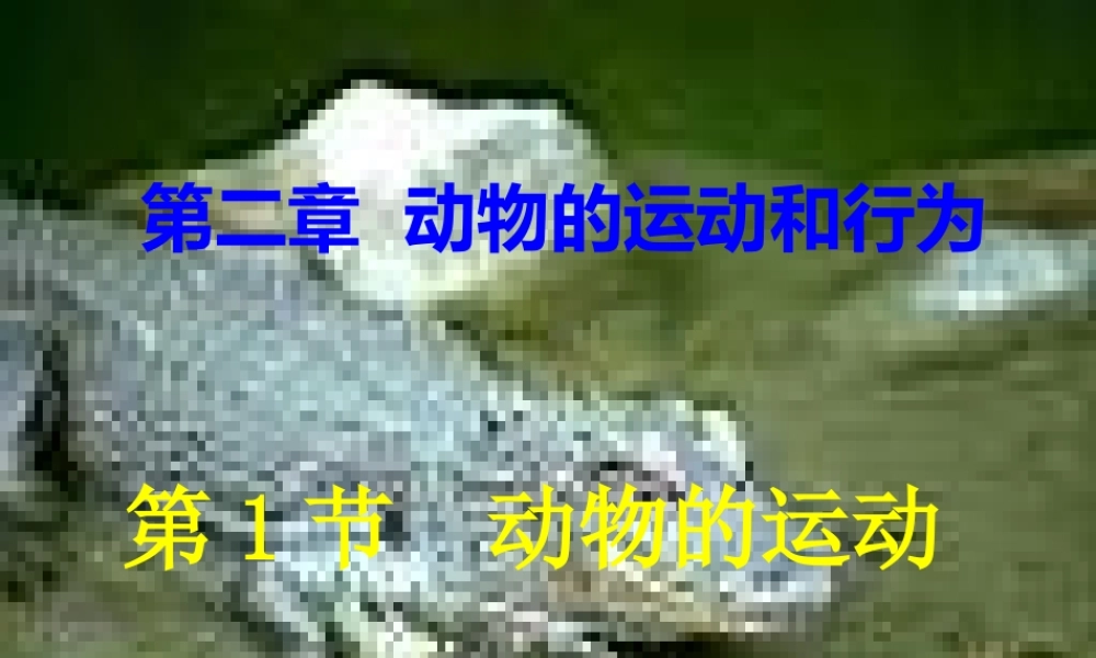 八年级生物上册 第五单元第二章第1节动物的运动课件 新人教版 课件