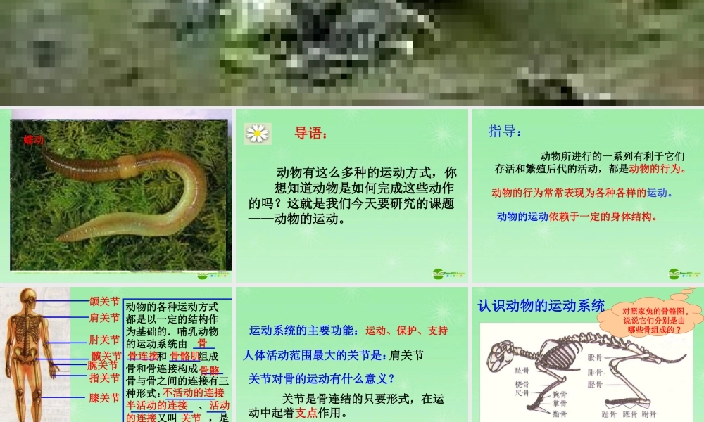 八年级生物上册 第五单元第二章第1节动物的运动课件 新人教版 课件