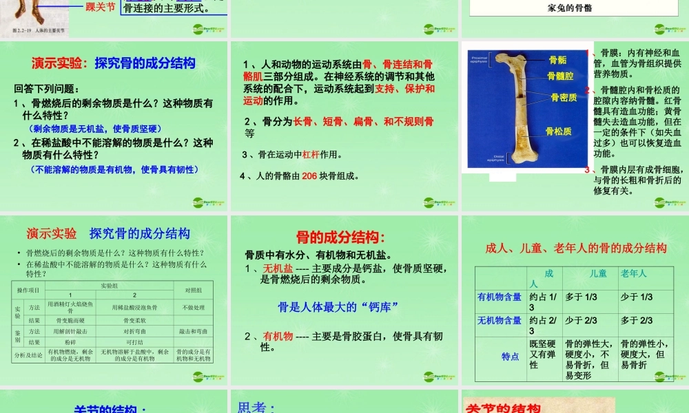 八年级生物上册 第五单元第二章第1节动物的运动课件 新人教版 课件