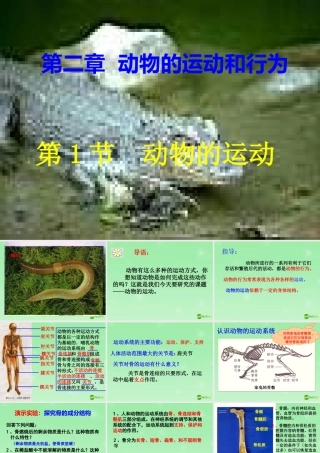 八年级生物上册 第五单元第二章第1节动物的运动课件 新人教版 课件